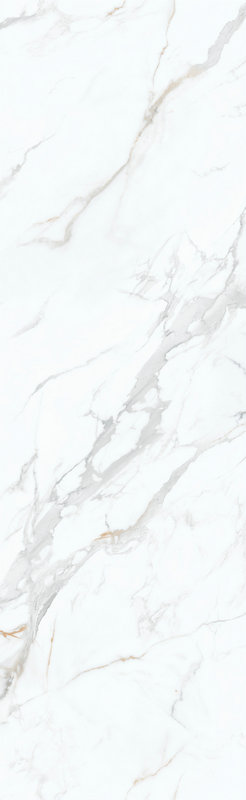 卡拉卡塔金 QHA802606X206