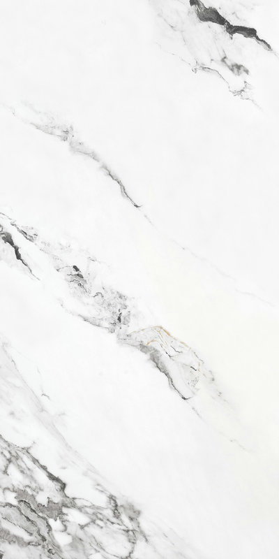 东方白 DLL918116F产品图