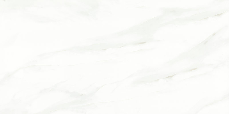 维多利亚白 DLL126611B